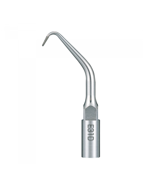 E4 PUNTA: ENDODONCIA E4