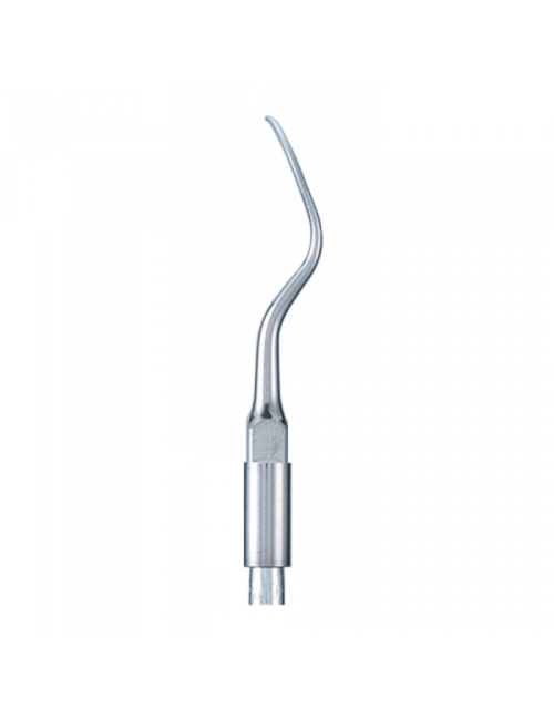 P2D PUNTA: PERIO P2D