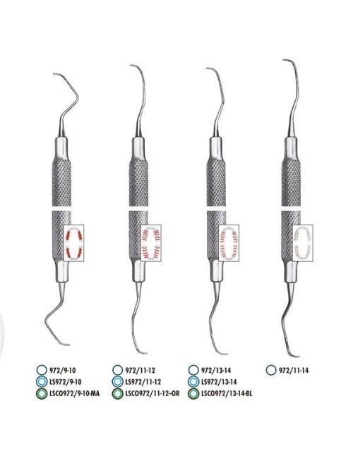 972/13-14 GRACEY DISTAL
