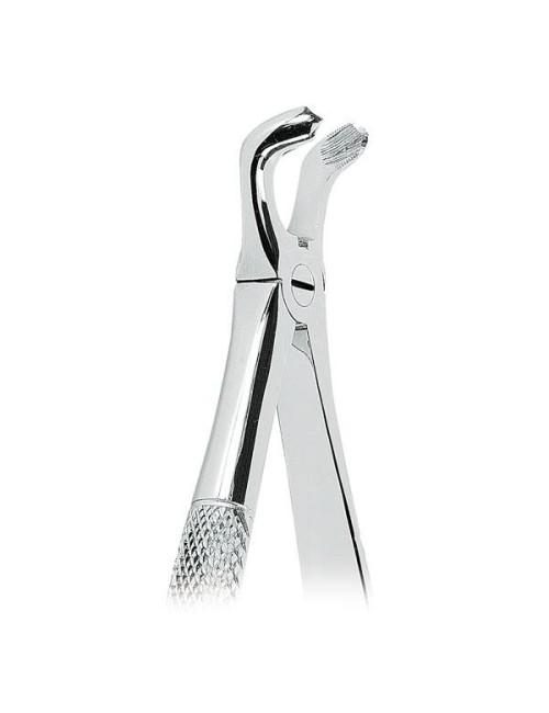 FORCEPS Nº 79
