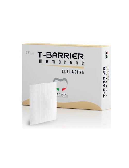 MEMBRANA COLAGENO EQUINO...