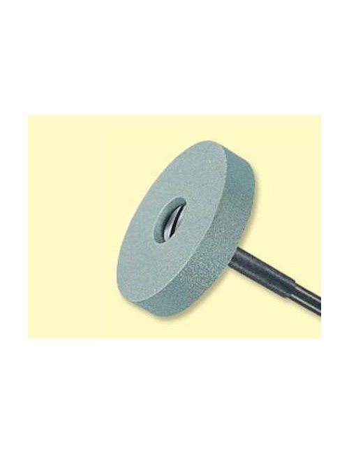 DIAGEN DISCO diám 22 mm 1...