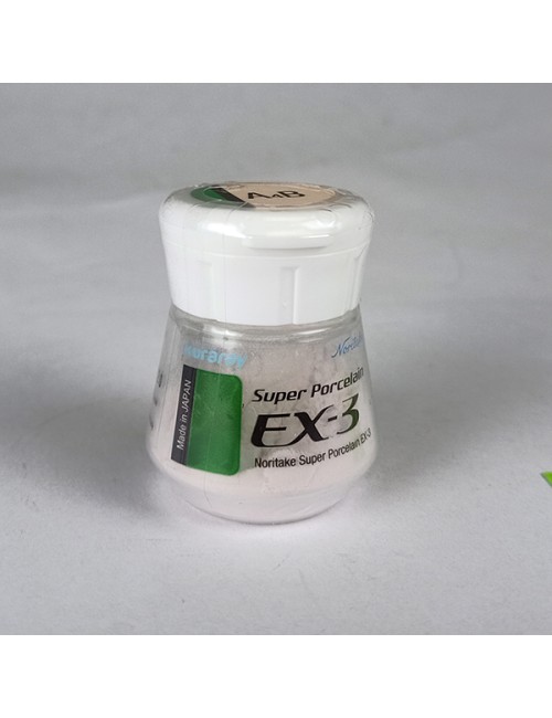 EX3 DENTINA nCOLOR 10GR