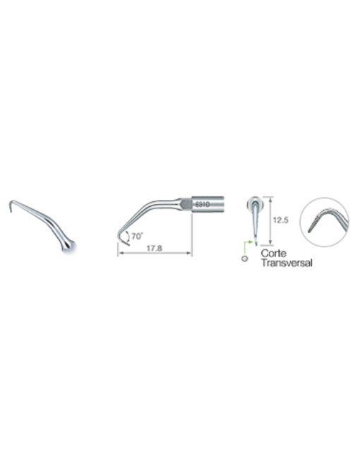 E31D PUNTA: ENDODONCIA E31D
