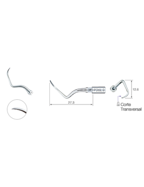 P26L PUNTA: PERIO P26L