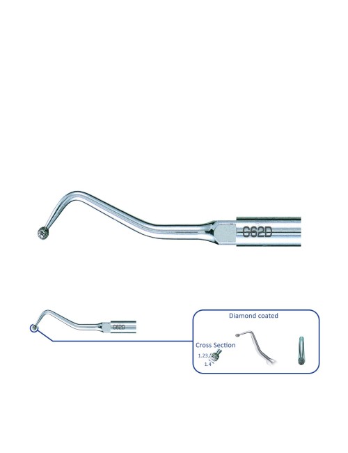 G62D PUNTA: RESTAURACIÓN
