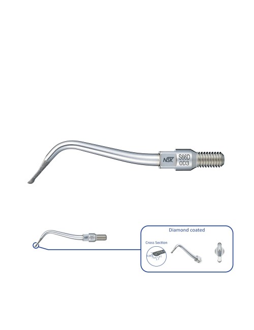 S66D PUNTA RESTAURACIÓN