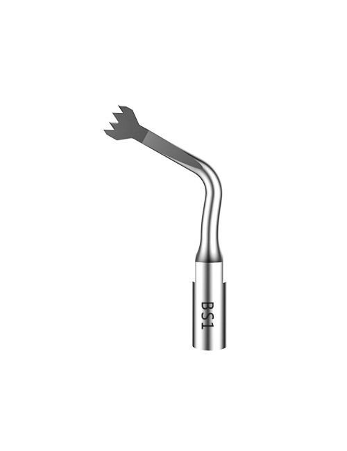 INSERTO BONE BS1 ROUNDED