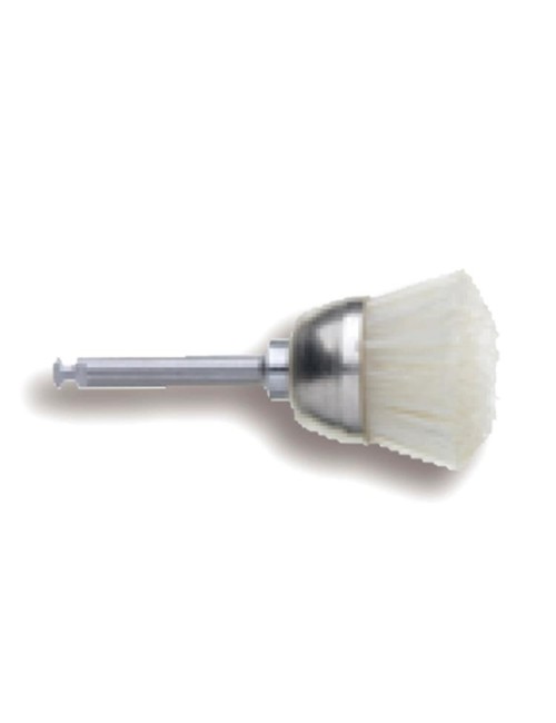 CEPILLO PROFILAXIS CA BX12...