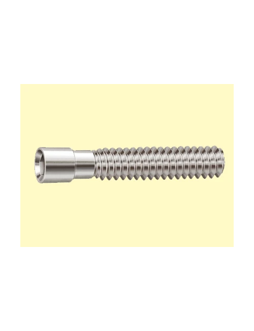 FS1 TORNILLO DE FRICCION CX10