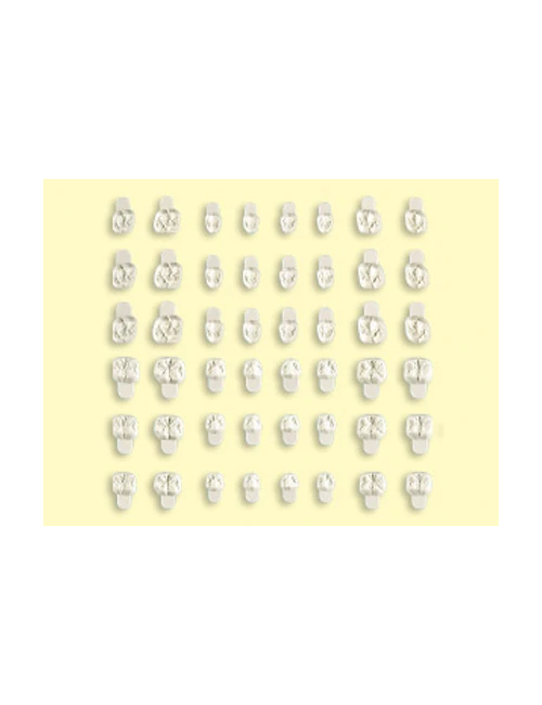 GNATOFLEX PREMIUM SURT 48pz