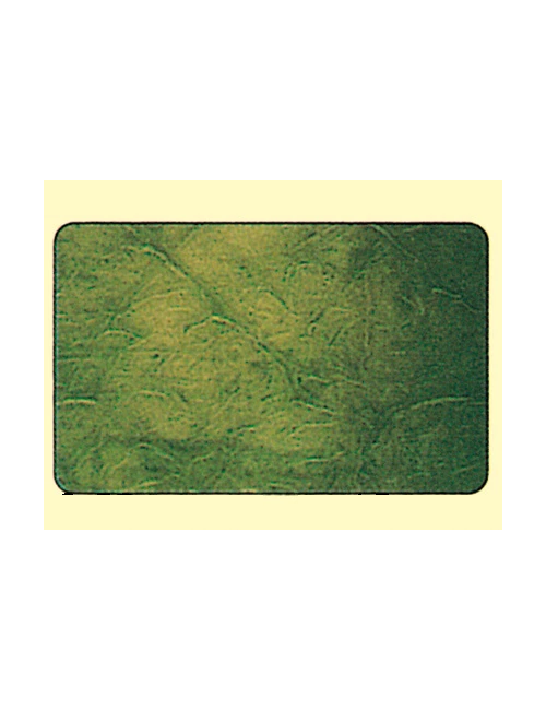 CERA RUGOSA MEDIA 0,50mm 15 PZ