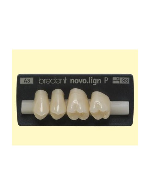 NOVO.LIGN P 2 G3 B2