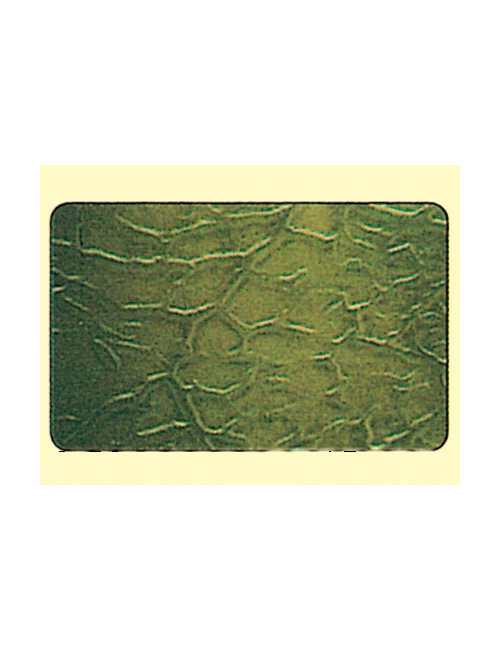 PROTEK PLANCHAS DE CERA,...