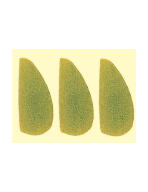 BARRAS LINGUALES SURTIDO 36 PZ