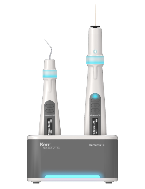 ELEMENTS IC OBTURATION SYSTEM