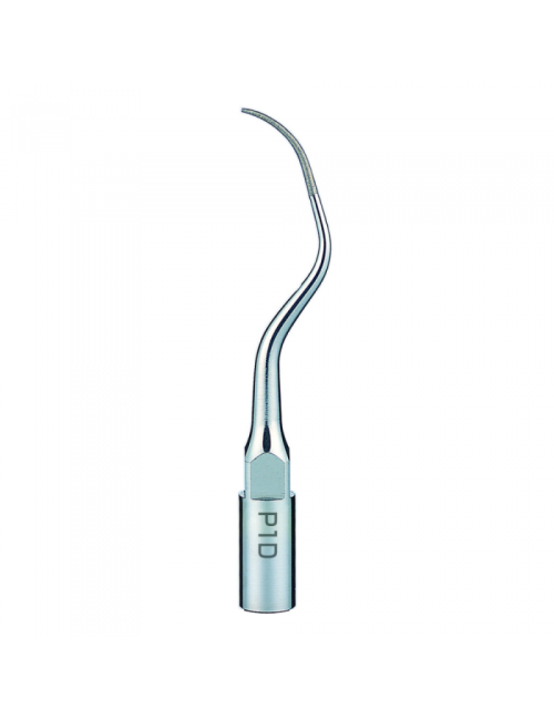 P1D PUNTA: PERIO P1D