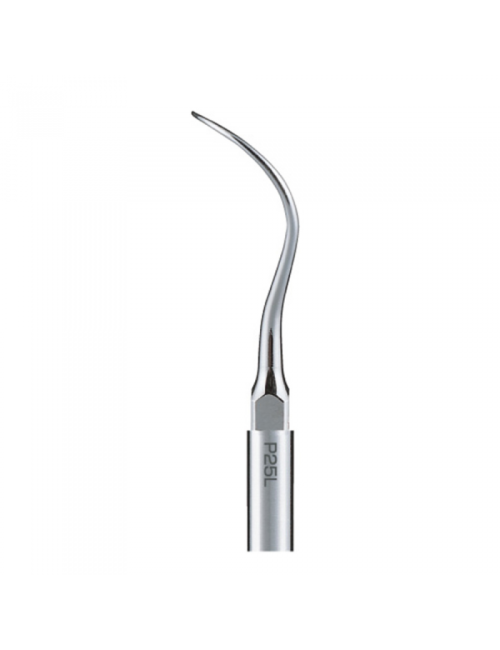 P25L PUNTA: PERIO P25L